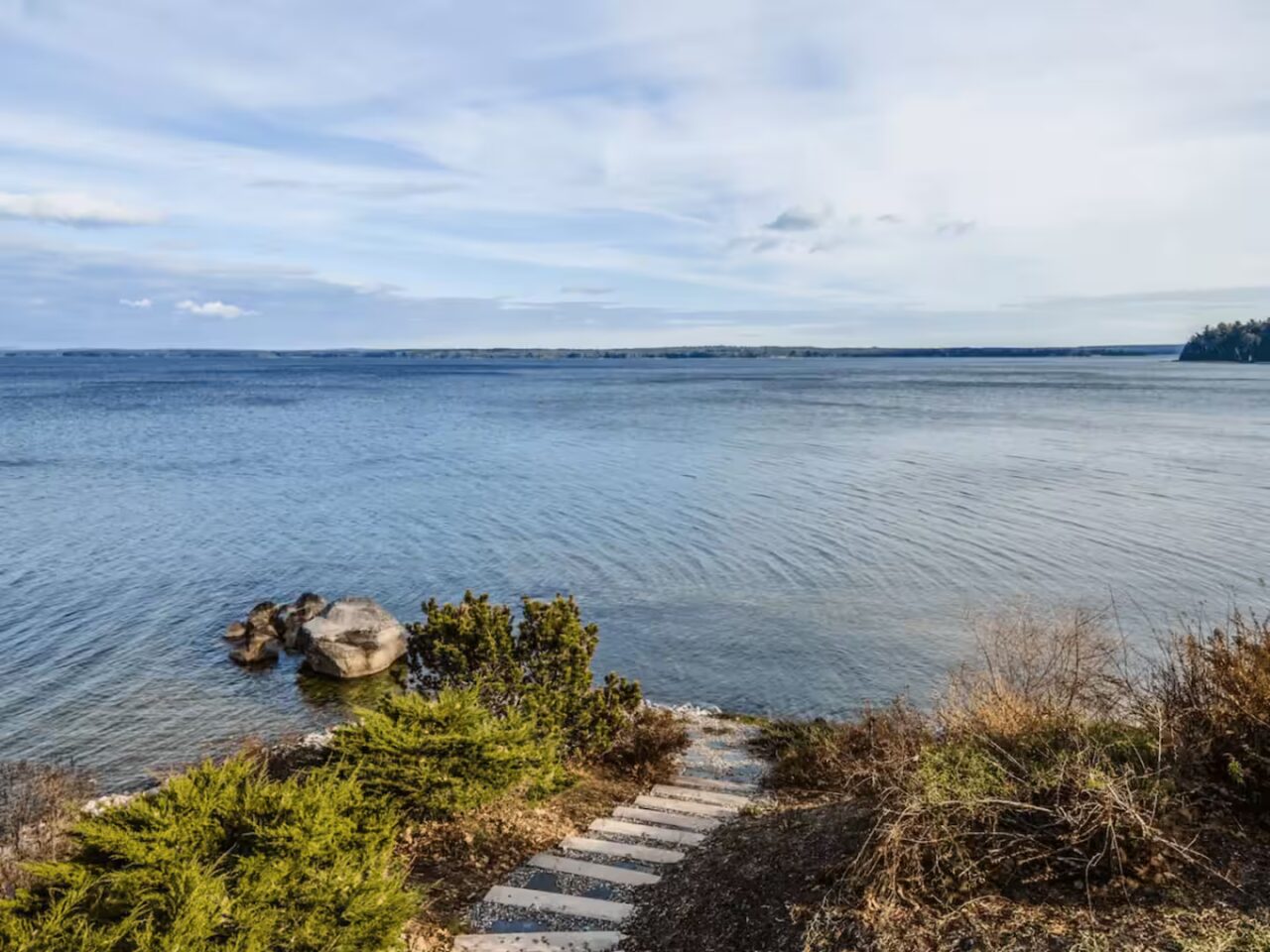 35f3239b-be45-4972-b113-3c414f154c33