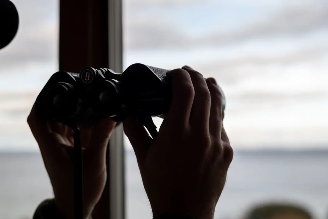 34122-253187-Lc6GeiIpM7T9gEoBvUc3MgXb4QehoG8vZd6pRdYC97Q-660130758855e